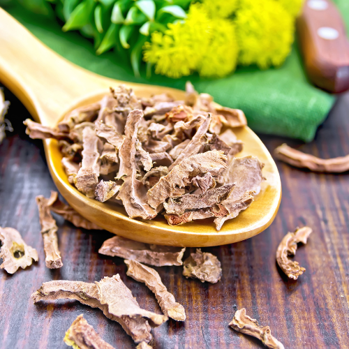 Rhodiola rosea: Bijwerkingen en werking van een adaptogene plant