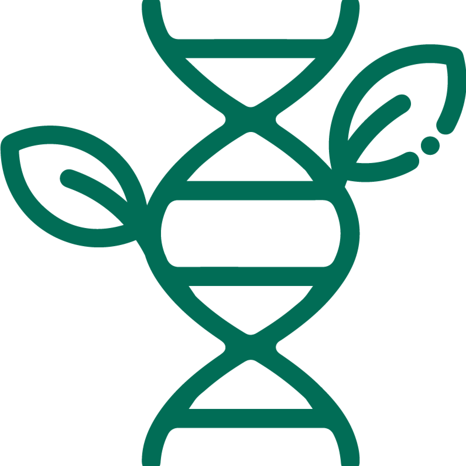 SYNERGIE & NATUURLIJK