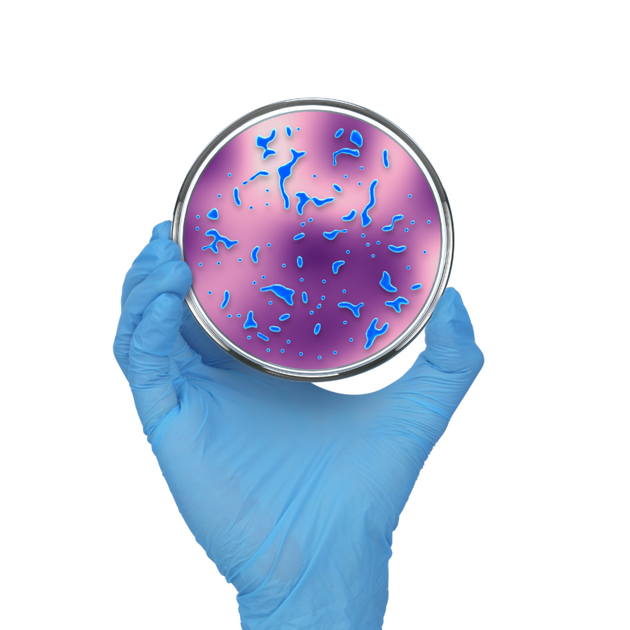 100 Miljard CFU: Diepgaande Kijk op Darmprobiotica