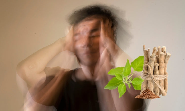 Ashwagandha en de effect op jouw emoties en stress