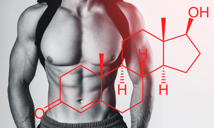 Testosteron verhogen op natuurlijke wijze met onze supplement