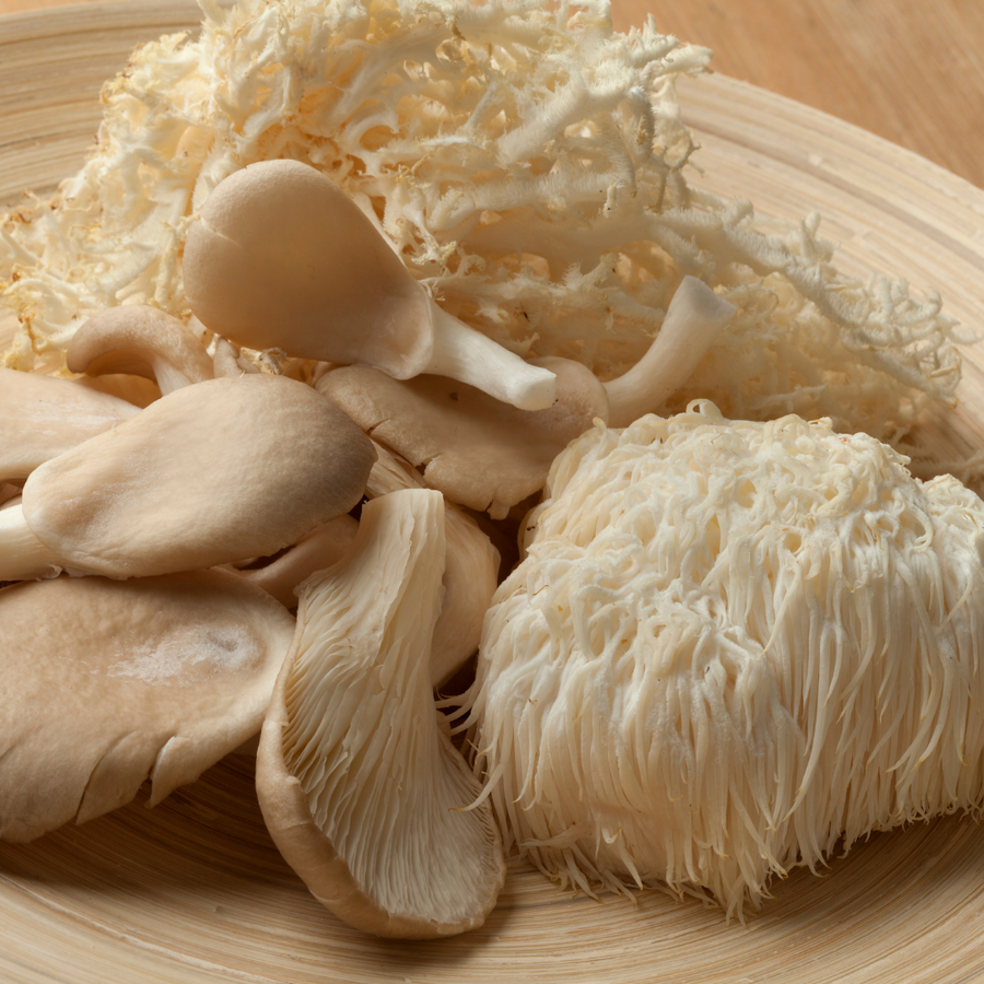 Lion's Mane: Natuurlijke Boost voor Focus & Concentratie