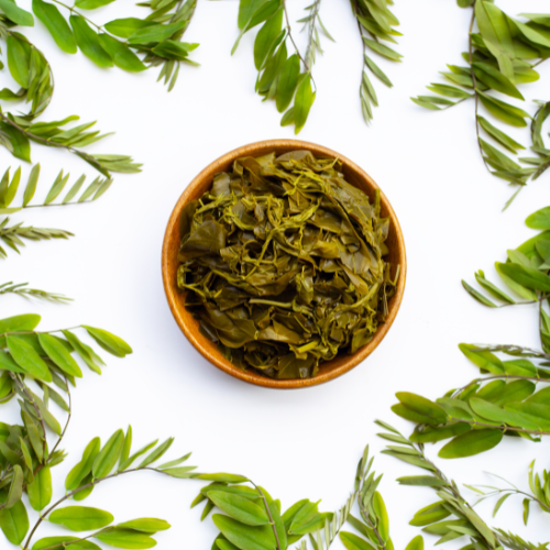 Sennablad kopen - Pure senna blad extract voor darmen