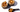 Cordyceps