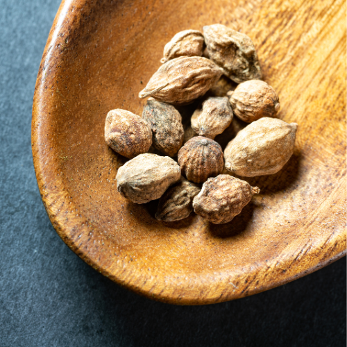 Alpinia oxyphylla extract kopen | Brain and Focus