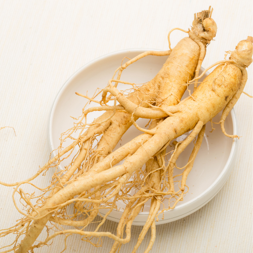 Alles over Panax ginseng: Werking, Dosering, Bijwerkingen en meer