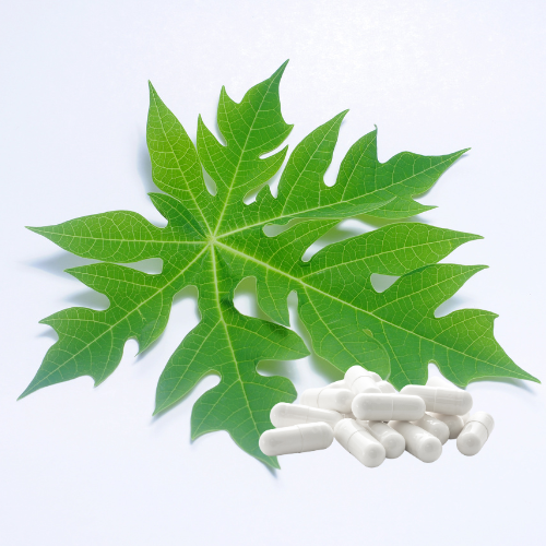 Papaya extract: Alle voordelen en werking van papaja