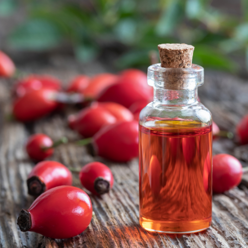 Rozenbottel: Gezondheidsvoordelen, werking en meer