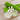 aloe vera kopen