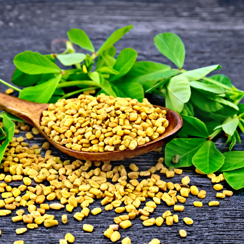 Fenegriekzaad | Fenegriek kopen? Biologische extract