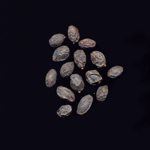 Saw palmetto kopen | Saw Palmetto Extract voor mannen