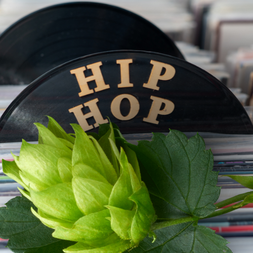 Slapen met Hop thee? Dit zijn de voordelen van Hop plant