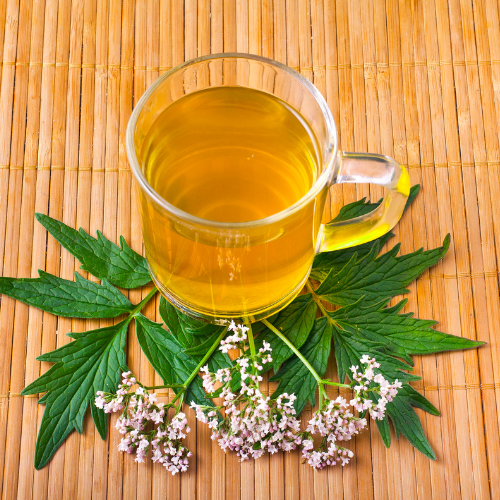 Valeriaan: Voordelen en werking bij angst, slapeloosheid en stress