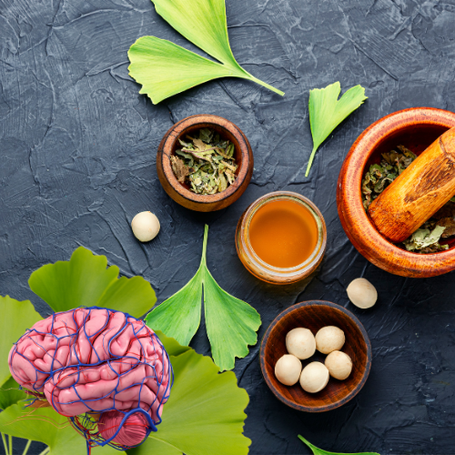 Ginkgo biloba kruiden: Alles over ginkgo biloba kruid