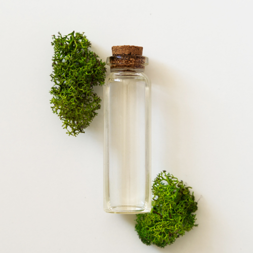 Sea Moss: Alle voordelen op rij van deze superfood